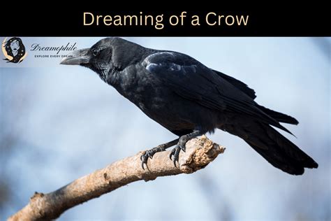 Psychological Perspectives: Exploring the Subconscious Significance of Dreaming about a Colossal Crow