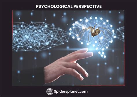 Psychological Perspectives on Spider Consumption Dreams as a Reflection of Lingering Emotions