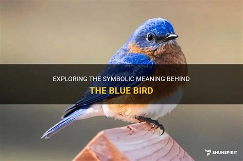 Psychological Significance: Exploring the Symbolic Interpretation of Majestic Blue Birds in Dreamscapes