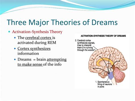 Psychological Theories on the Significance of Dreaming about a Fractured Premolar