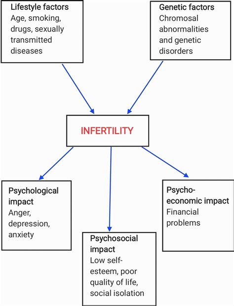 Psychological and Emotional Factors Influencing Male Fertility