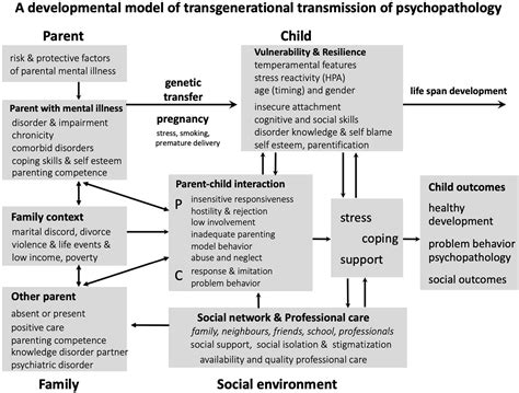 Psychological and Emotional Impact on Parents of Infants Affected by Premature Aging