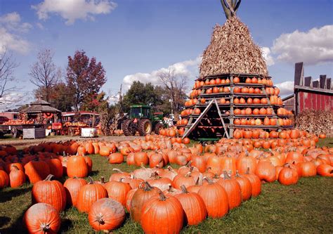 Pumpkin Festivals and Celebrations: Embracing the Spirit of Autumn