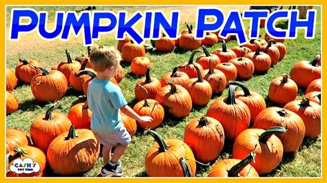 Pumpkin Patch Adventures: Exciting Activities for Everyone