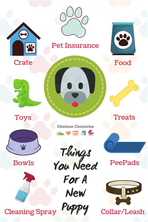 Puppy Essentials: Must-Have Supplies for a New Pet