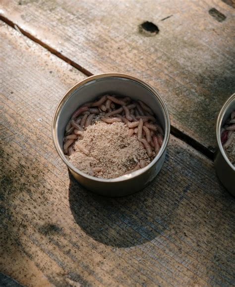 Purity and Decay: Exploring the Symbolism of Maggots in Various Cultures