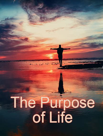 Pursuing Happiness: Discovering Your Life's Purpose