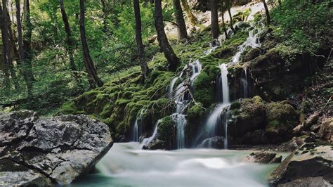 Rainfall: A Symphony of Serenity