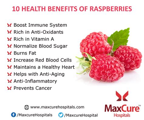 Raspberries: Packed with Nutrients and Health Benefits