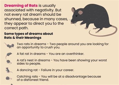 Rats as Unruly Partners in Dreamland: Decoding Their Cryptic Messages