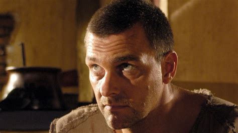 Ray Stevenson's Future Projects and Endeavors