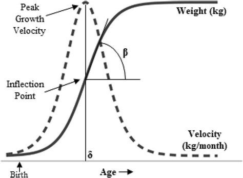 Reaching New Heights: The Stature of Adaire E Aire