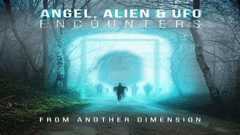 Real-Life Encounters: Tales from Witnesses of Shapeshifting Beings