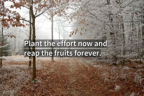 Reaping the Fruits of Your Efforts: Pointers for an Abundant Yield