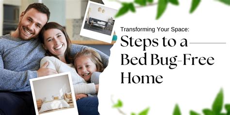 Reclaiming Your Peace: Steps to Achieve a Bedbug-Free Environment