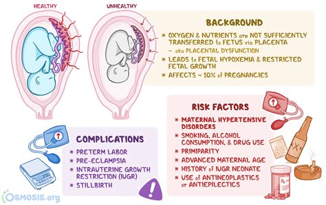 Recognizing Potential Concerns and Abnormalities in Fetal Movements