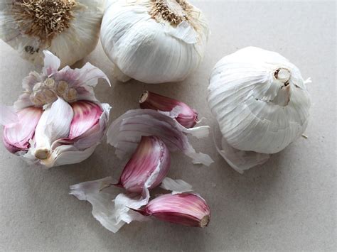 Recognizing Signs of Spoiled Garlic