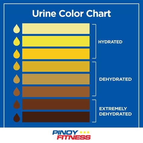 Recognizing the Key Indicators of Darkened Urine