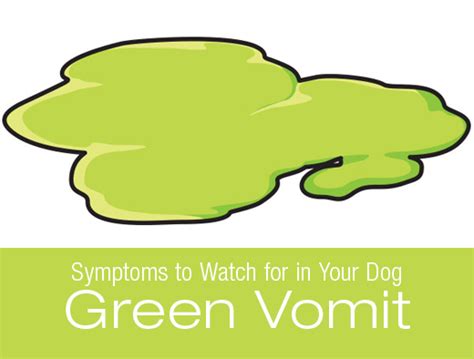 Recognizing the Symptoms: How to Identify Green Vomit