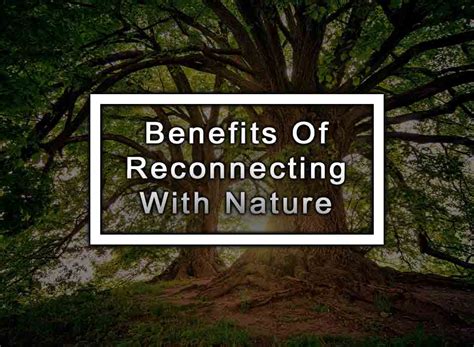 Reconnecting with Nature: Embracing the Healing Power of a Primal Lifestyle