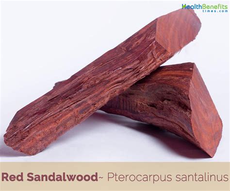 Red Sandalwood: The Sacred Wood of Ancient Civilizations