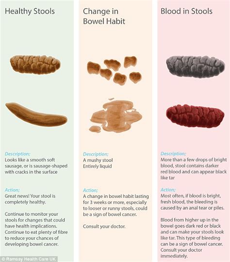 Red Stools: Indicators of Health Concerns