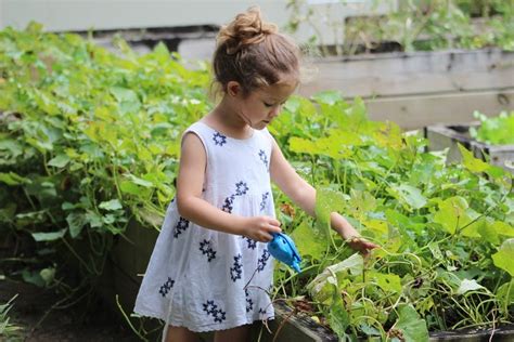 Rediscovering Our Roots: The Joy of Gardening and Connecting with Nature