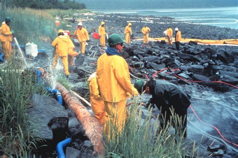 Reflecting on Past Catastrophes: Gleaning Insights from Major Oil Spills