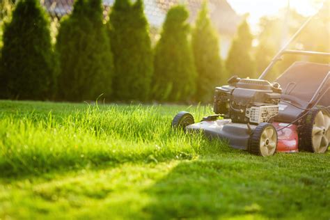 Regular Mowing and Trimming for a Well-Manicured Look