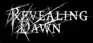 Revealing Dawn Desire's Total Wealth