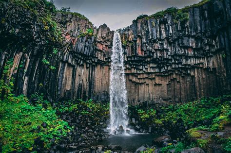 Revealing the Astonishing Variety of Waterfall Ecosystems