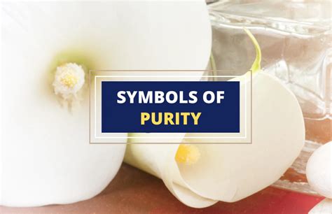 Revealing the Significance of Purity in Dreams