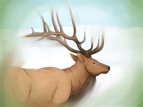 Revealing the Spiritual Significance of Dormant Stags in Dreams