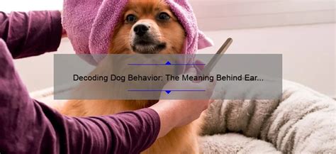 Revealing the Symbolism: Decoding the Significance of Canine Olfaction