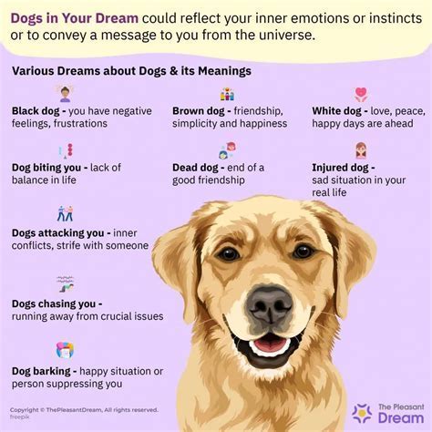 Revealing the Veiled Messages: Decoding the Significance of Canine Presence in Your Dream