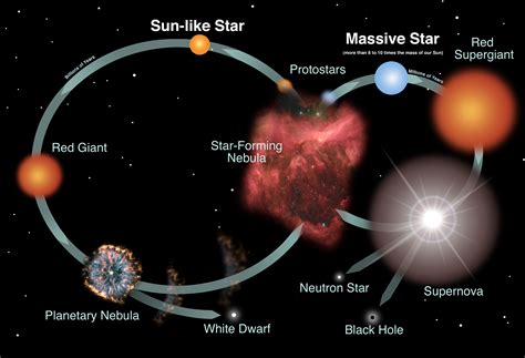 Rise to Prominence: The Evolution of a Star