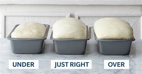 Rising and Proofing: Taking Your Dough to the Next Level