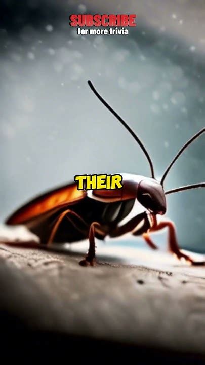 Roaches: The Resilient and Adaptable Symbol