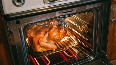 Roasting Techniques: Oven vs. Grill – Which Method is Right for You?