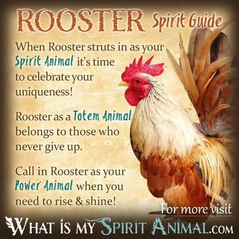 Rooster as a Symbol of Confidence and Courage