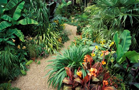 Roots and Growth: Decoding Dreams of Exotic Foliage and Blooms