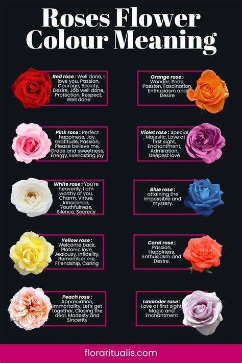 Rose Symbolism in Literature and Art: Exploring the Significance in Famous Works