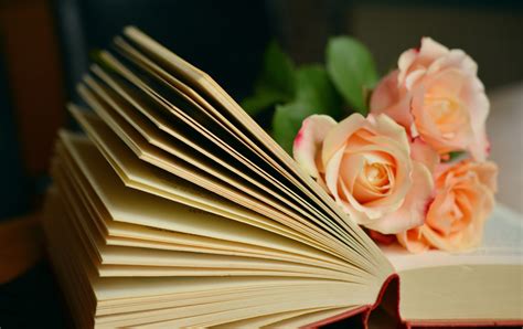 Roses in Art and Literature: A Symbol of Inspiration