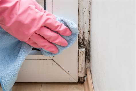 Safe Methods to Remove and Prevent Black Mold