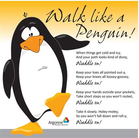 Safety Measures and Guidelines for Penguin Interaction