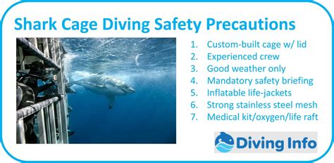 Safety Precautions for a Secure Shark Hunting Experience