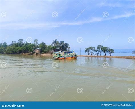 Sailing Through the Canopy: A Step-by-Step Journey to Navigating the Lush Wilderness