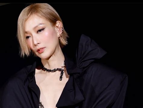 Sammi Cheng: A Musical Icon