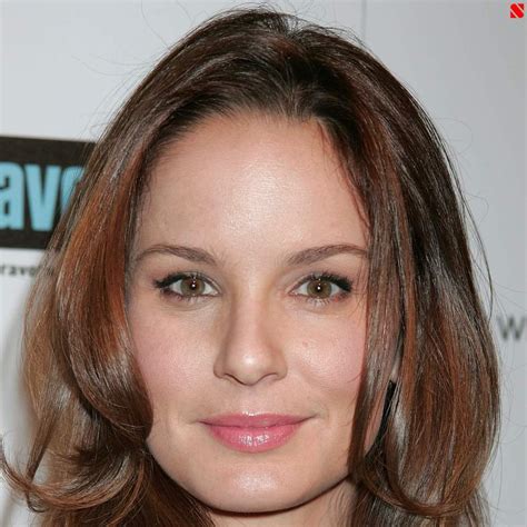 Sarah Wayne Callies Biography