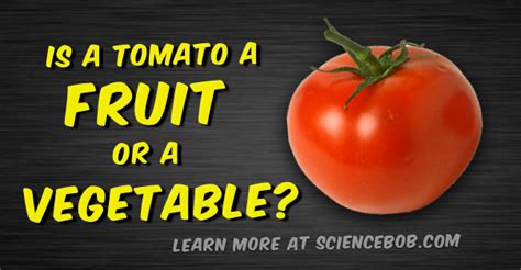 Scientific Curiosity: Can Vegetables Really Communicate?